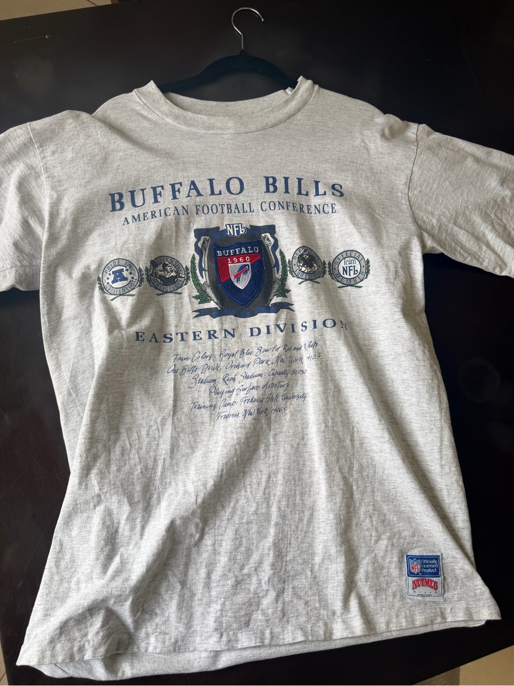 Buffalo Bills NFL Eastern Division Graphic Tee - Gray Vintage